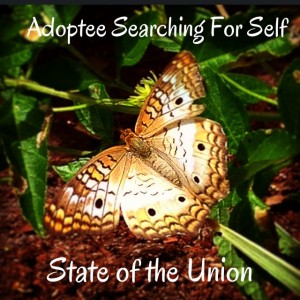 adoption state of the union