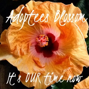 adoptee blossom