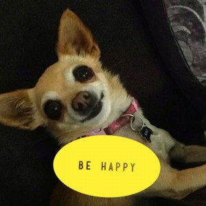 adoptee be happy